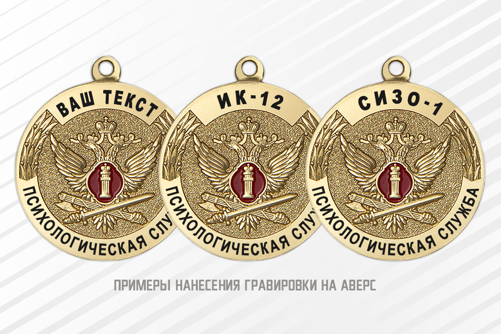 Медаль «Психологическая служба УИС» с бланком удостоверения, дополнительное фото 1