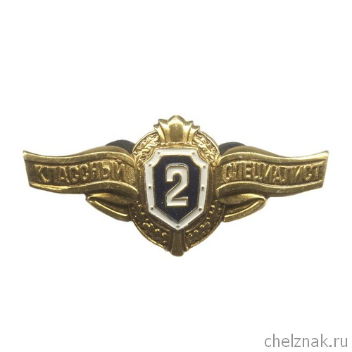 Нагрудный знак МО России «Классный специалист» II класса