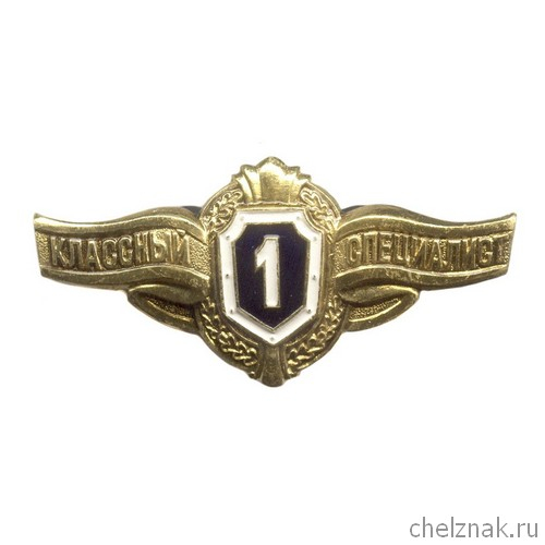 Нагрудный знак МО России «Классный специалист» I класса