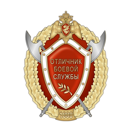 Нагрудный знак Росгвардии «Отличник боевой службы» 1 степени