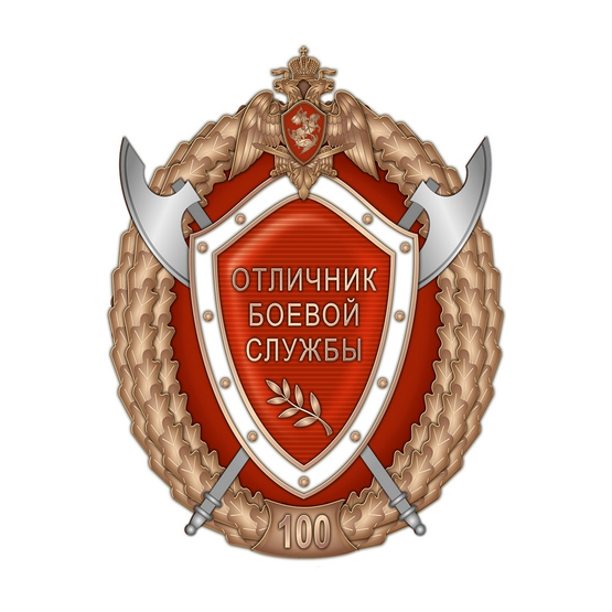 Нагрудный знак Росгвардии «Отличник боевой службы» 3 степени