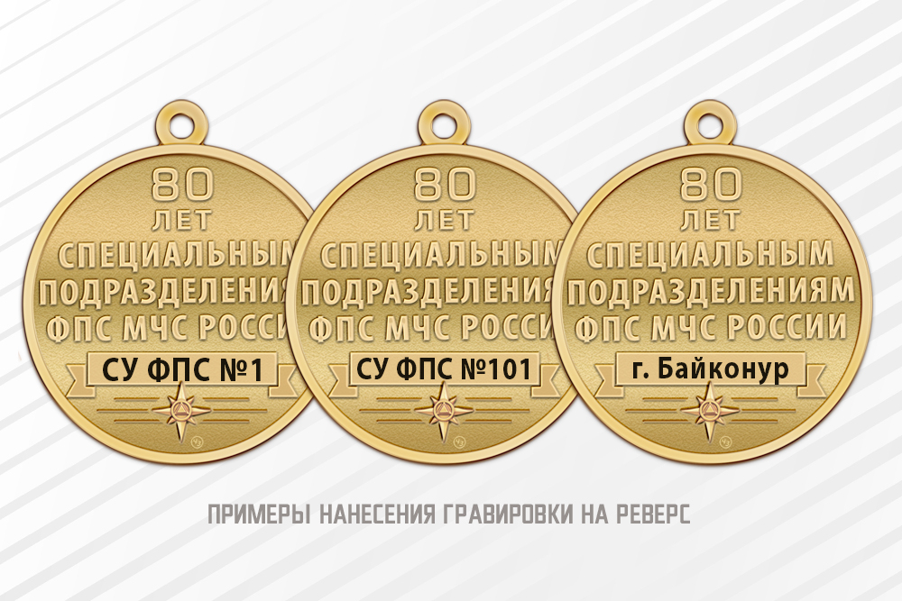 Знак «Ветеран специальных подразделений ФПС МЧС РФ» с бланком удостоверения, дополнительное фото 1