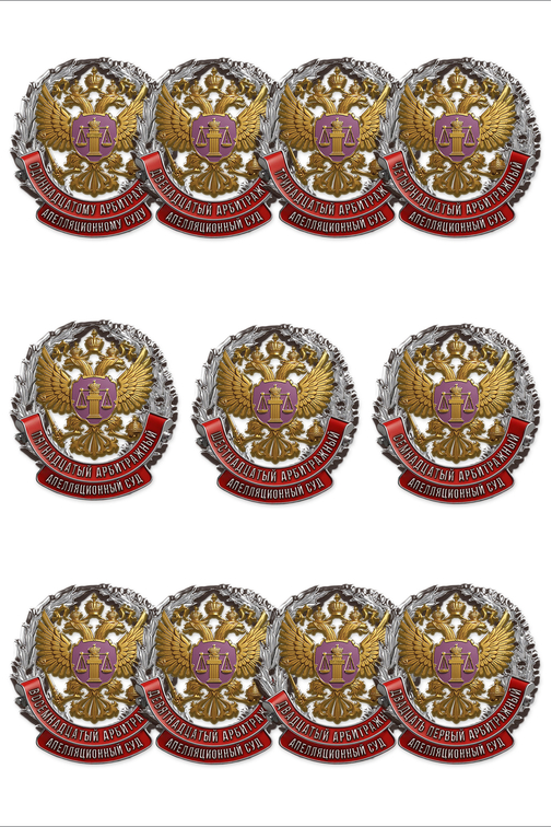 Знак «Арбитражный апелляционный суд», дополнительное фото 1