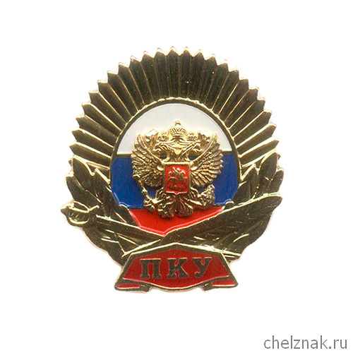 Знак «Президентское Кадетское Училище»