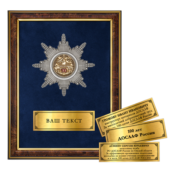 Лицевая сторона награды Панно с орденским знаком «100 лет ДОСААФ»