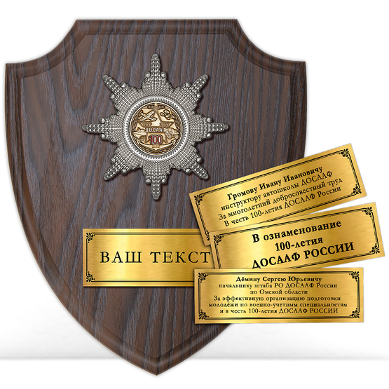 Лицевая сторона награды Наградная плакетка с орденом «В честь 100-летия ДОСААФ России»