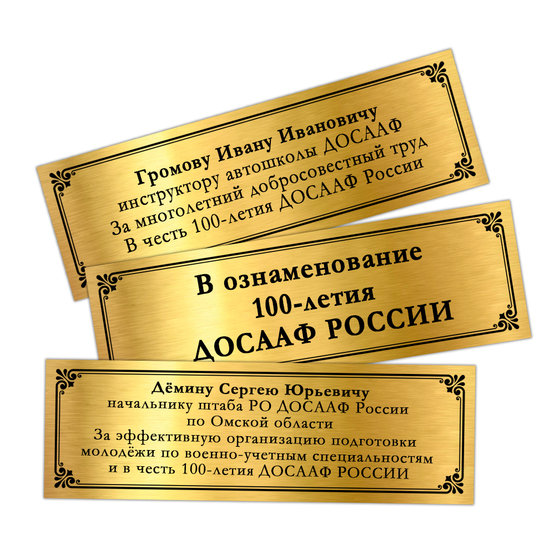 Наградная плакетка с орденом «В честь 100-летия ДОСААФ России», дополнительное фото 1