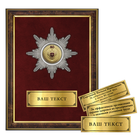 Лицевая сторона награды Наградное панно «80 лет Федеральному медико-биологическому агентству»