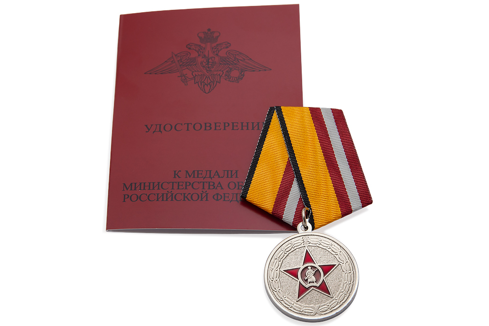 Медаль МО «Участнику специальной военной операции» (серая лента)  с бланком удостоверения, дополнительное фото 1