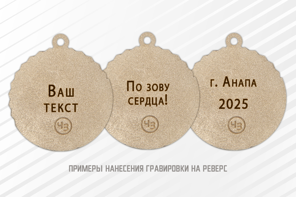 Медаль «Волонтёр СВО» с бланком удостоверения, дополнительное фото 1