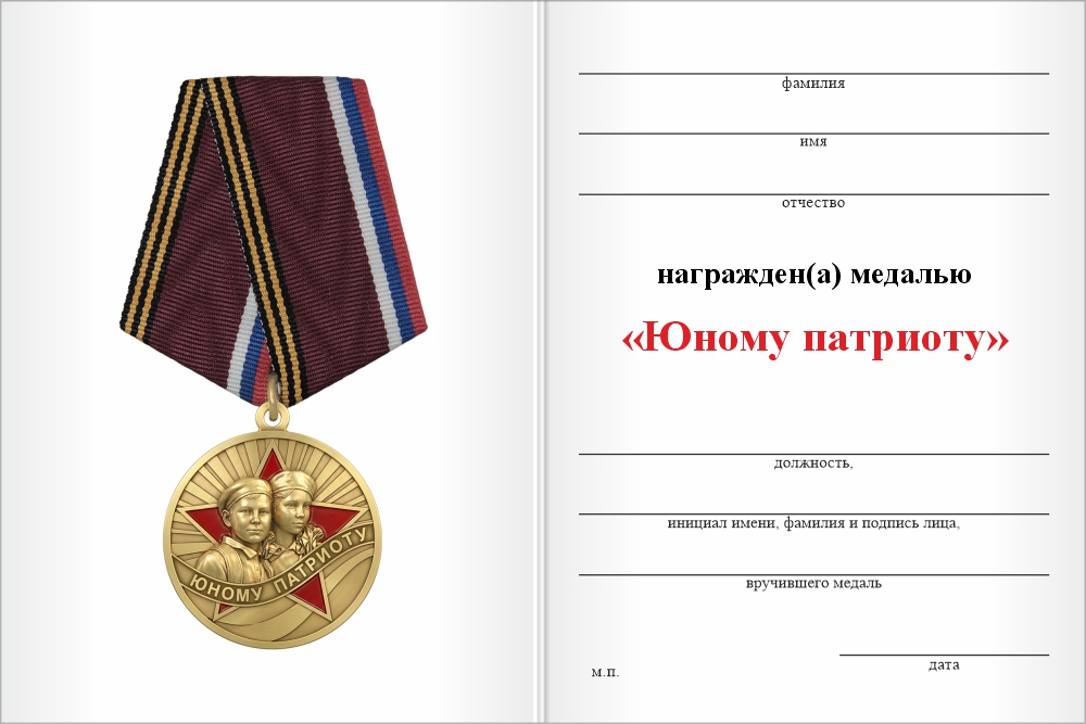 Бланк оборотная сторона Медаль «Юному патриоту» с бланком удостоверения