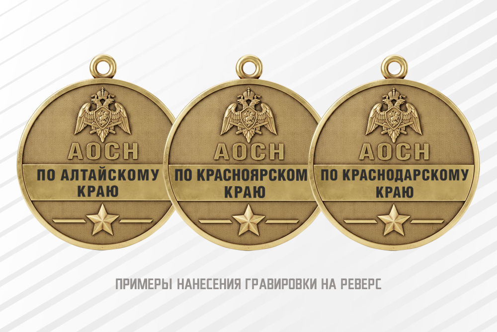 Медаль юбилейная «20 лет АОСН Росгвардии» с бланком удостоверения, дополнительное фото 2