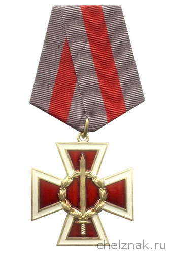 Знак (крест) казачьих войск «За спецоперацию» с бланком удостоверения