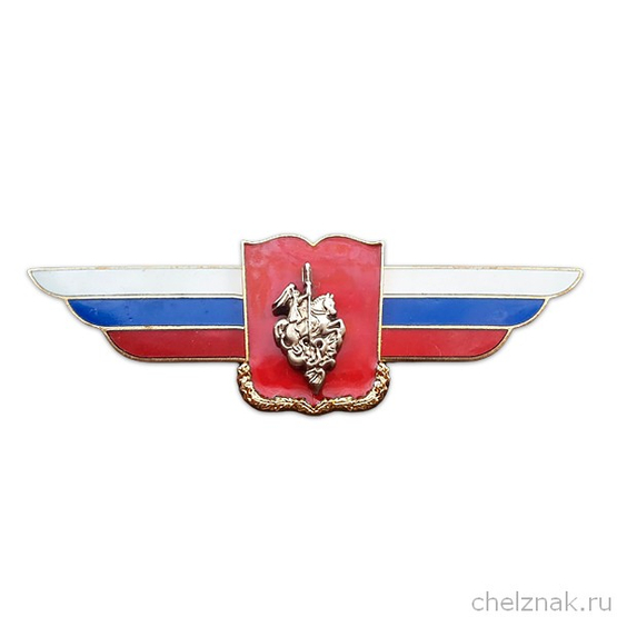 Должностной знак начальника военной академии (военного университета) №9