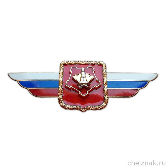 Должностной знак командующего войсками Центрального военного округ №13