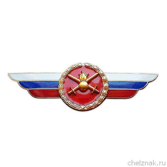 Должностной знак главнокомандующего Сухопутными войсками №16