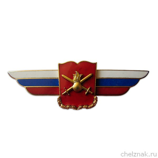 Должностной знак начальника военной академии (Сухопутные войска) №22