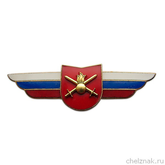 Должностной знак командира учебной воинской части, воинского формирования (Сухопутные войска) №24