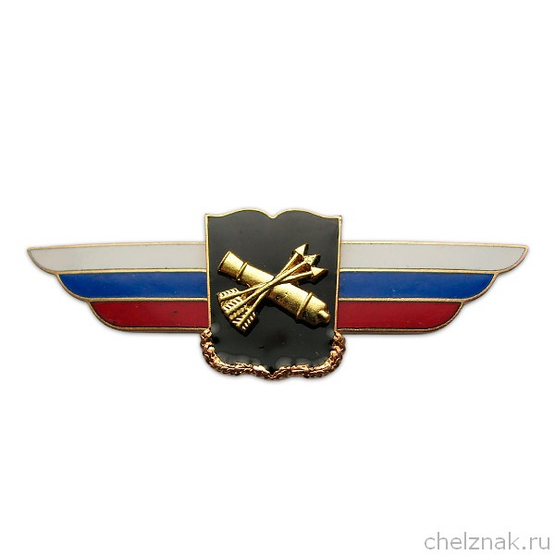 Должностной знак начальника военной академии (ПВО) №43
