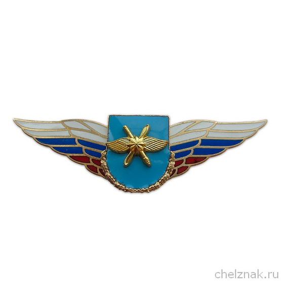 Должностной знак командира бригады и ей равного соединения (ВКС) №49