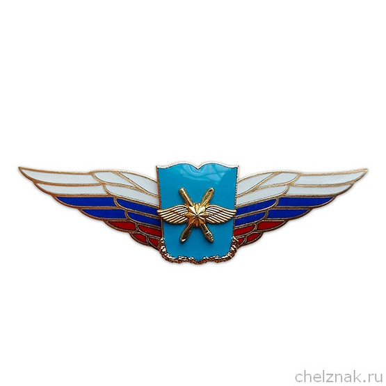 Должностной знак начальника военной академии (ВКС) №52