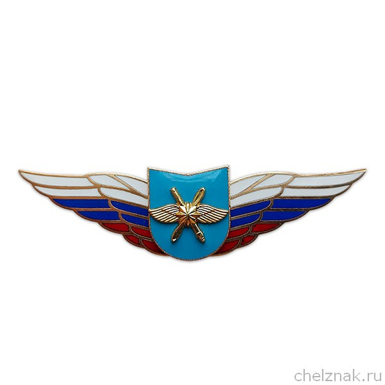 Должностной знак командира учебной воинской части и другого воинского формирования (ВКС) №54