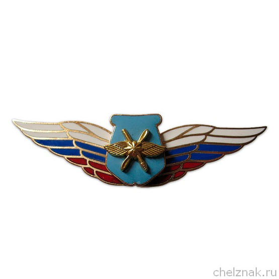 Должностной знак начальника воинского формирования, ведущего научную деятельность (ВКС) №55