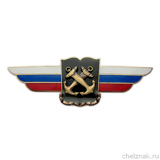 Должностной знак начальника военной академии (ВМФ) №66