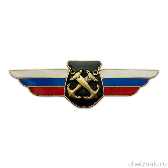 Должностной знак начальника воинского формирования, ведущего научную деятельность (ВМФ) №69