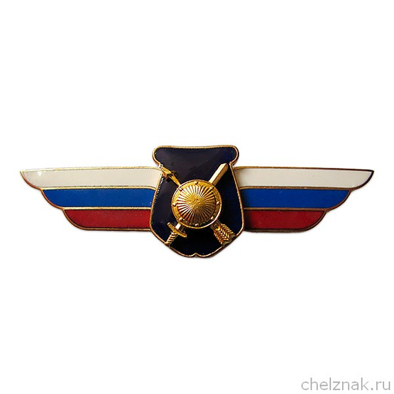 Должностной знак начальника воинского формирования, ведущего научную деятельность (РВСН) №78