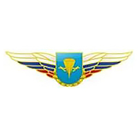 Должностной знак командира бригады и ей равного соединения (ВДВ) №81