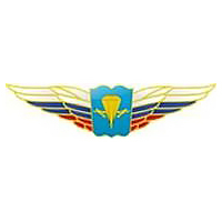 Должностной знак начальника высшего ВУ, проф. и общеобразовательной организации (ВДВ) №84