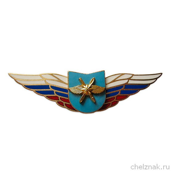 Должностной знак командира учебной воинской части и другого воинского формирования (ВДВ) №85
