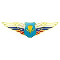 Должностной знак начальника воинского формирования, ведущего научную деятельность (ВДВ) №86