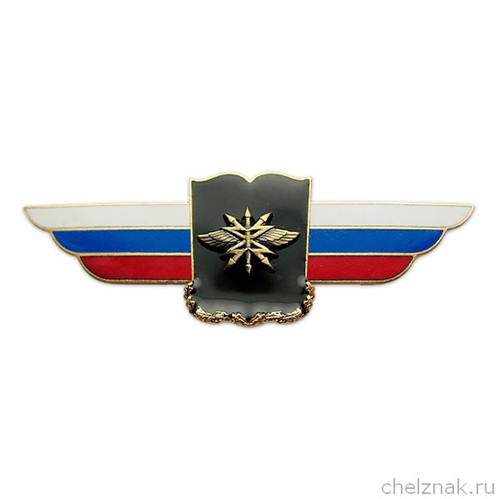 Должностной знак начальника военной академии (Войска связи) №95