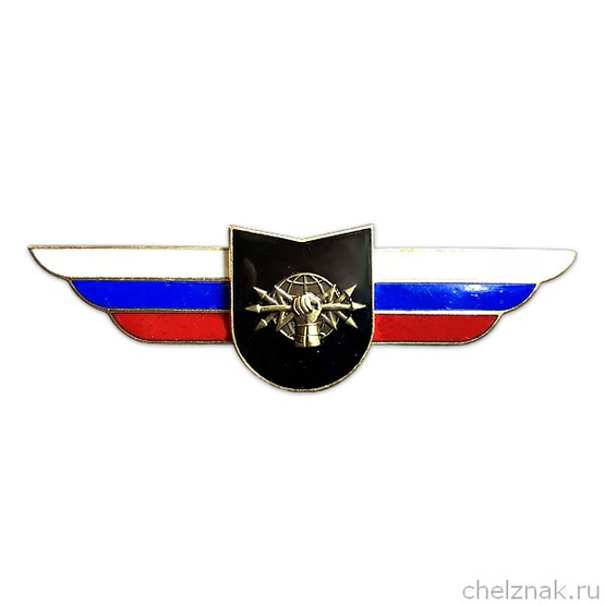 Должностной знак командира учебной воинской части и другого воинского формирования (РЭБ) №102
