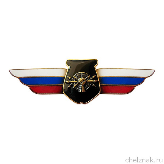 Должностной знак начальника воинского формирования, ведущего научную деятельность (РЭБ) №103