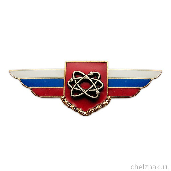 Должностной знак начальника ремонтно-технической базы (Ядерное обеспечение) №105