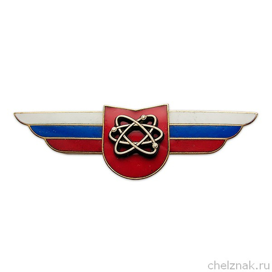 Должностной знак командира учебной воинской части, воин. формирования (Ядерное обеспечение) №106