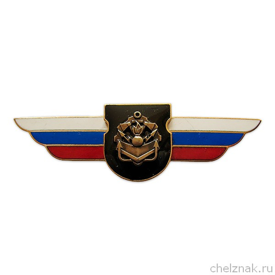Должностной знак командира отдельного батальона, воинской части (Инженерные войска) №111