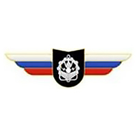 Должностной знак командира учебной воинской части, воинского формирования (Инженерные войска) №114