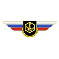 Должностной знак командира бригады и ей равного соединения (РХБЗ) №117