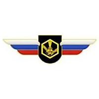 Должностной знак командира отдельного батальона и ему равной воинской части (РХБЗ) №119