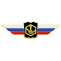 Должностной знак начальника военной академии (РХБЗ) №120