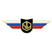 Должностной знак командира учебной воинской части и другого воинского формирования (РХБЗ) №122