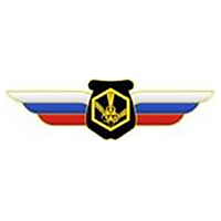 Должностной знак начальника воинского формирования, ведущего научную деятельность (РХБЗ) №123