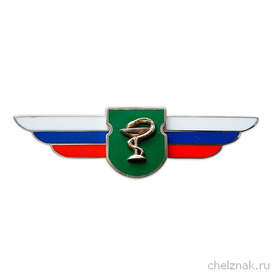 Должностной знак командира медицинского отряда (Военно-медицинская служба) №128