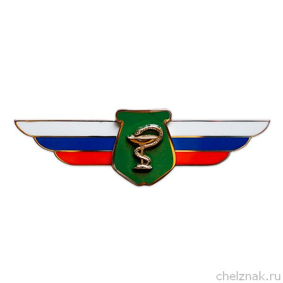 Должностной знак начальника воинского формирования, ведущего научную деятельность (ГВМУ МО) №131