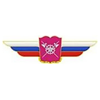 Должностной знак начальника военной академии (МТО ВС) №135