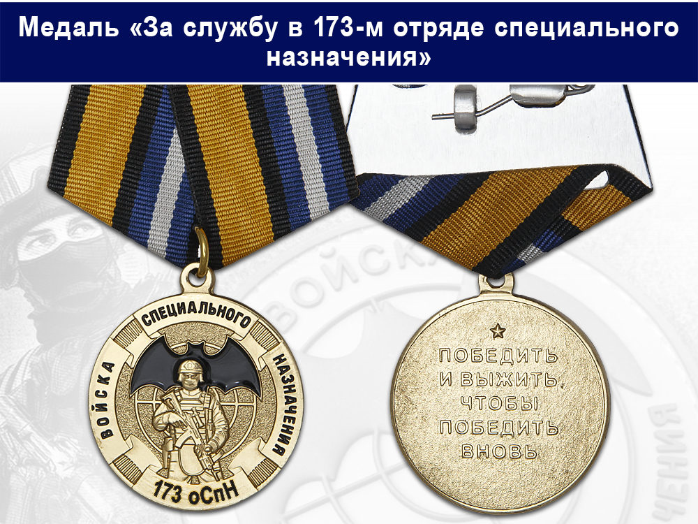 Лицевая сторона награды Медаль «За службу в 173-м отряде специального назначения (173 оСпН)» с бланком удостоверения